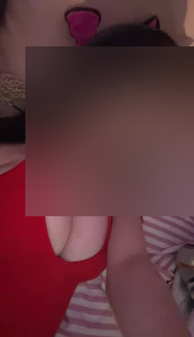 Róża Rubina - zdjęcie 8