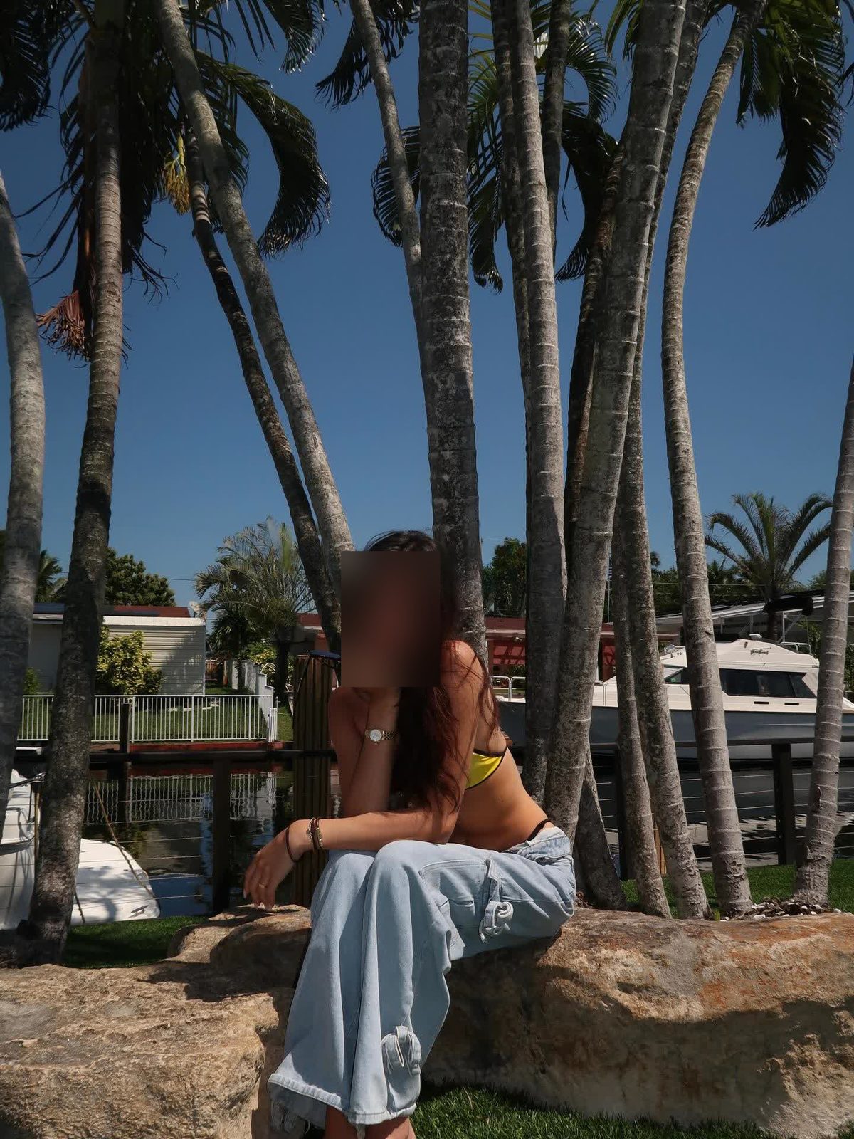 Róża Violet - zdjęcie 11