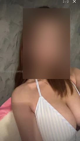 Róża Rubina - zdjęcie 4