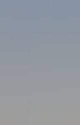 Jola - zdjęcie 2