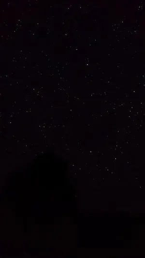 Sofija - zdjęcie 1